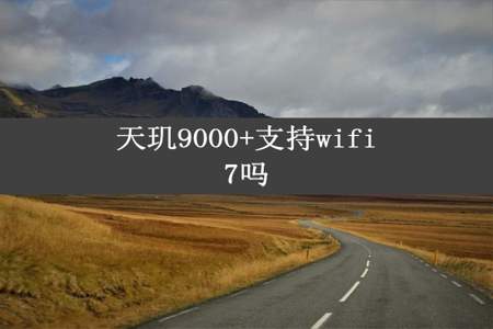 天玑9000+支持wifi7吗