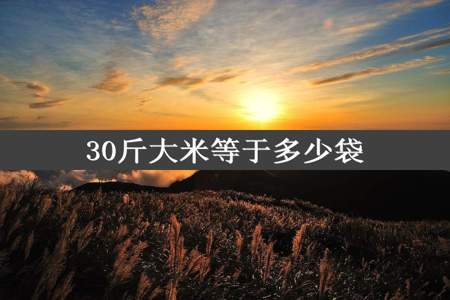 30斤大米等于多少袋