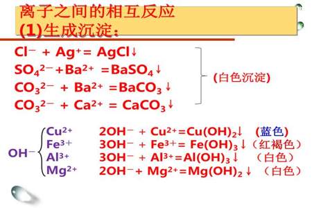 初中不能共存的离子