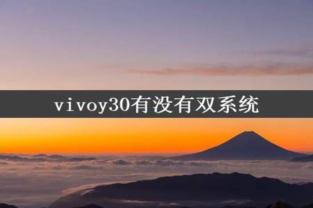 vivoy30有没有双系统