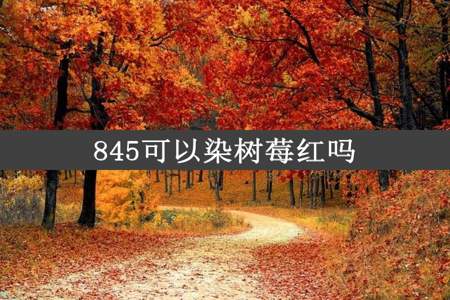 845可以染树莓红吗