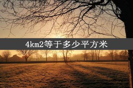 4km2等于多少平方米
