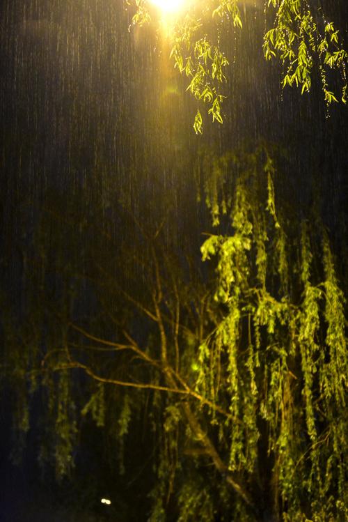 七月的雨夜的风用古文