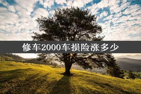 修车2000车损险涨多少