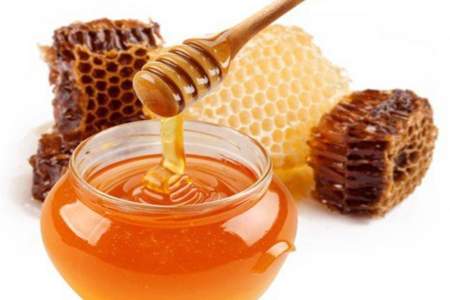 蜂蜜的近义词有哪些