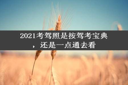 2021考驾照是按驾考宝典，还是一点通去看