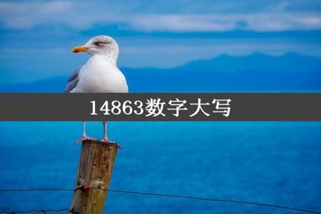 14863数字大写