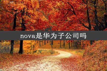 nova是华为子公司吗