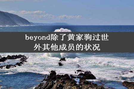 beyond除了黄家驹过世外其他成员的状况