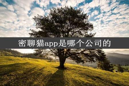 密聊猫app是哪个公司的