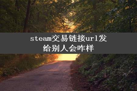 steam交易链接url发给别人会咋样