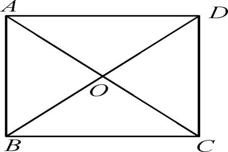 正方体能截出平行四边形吗