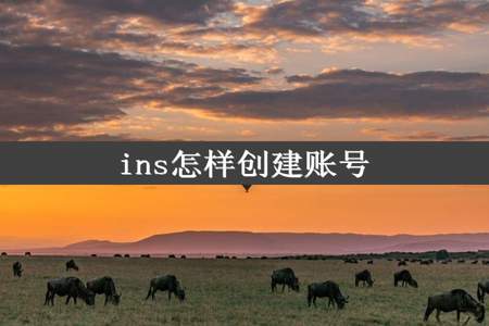 ins怎样创建账号