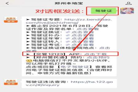 精神病可以申领驾驶证吗