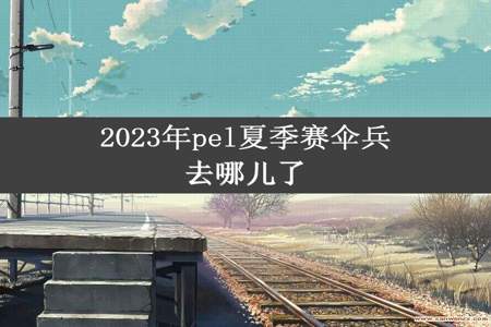 2023年pel夏季赛伞兵去哪儿了