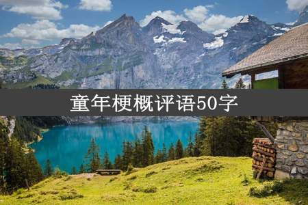 童年梗概评语50字