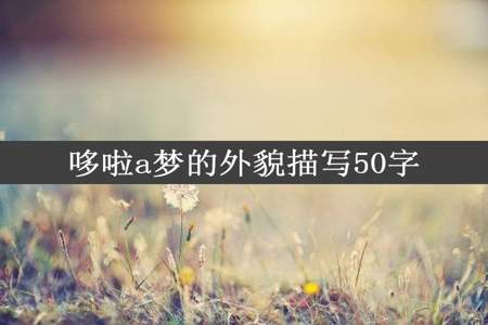 哆啦a梦的外貌描写50字