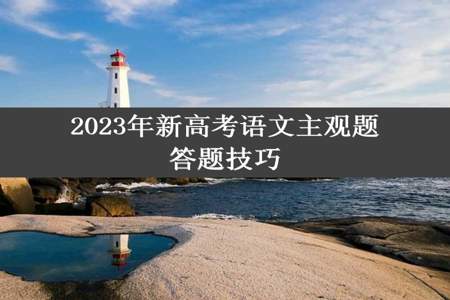 2023年新高考语文主观题答题技巧