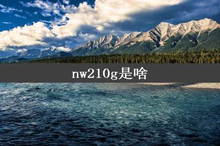 nw210g是啥