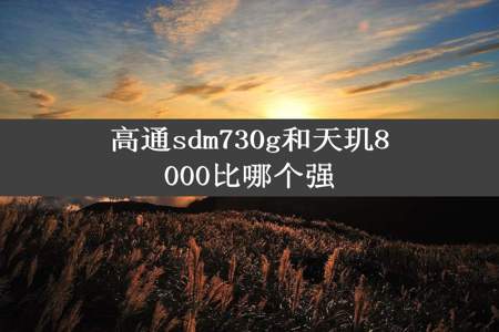 高通sdm730g和天玑8000比哪个强