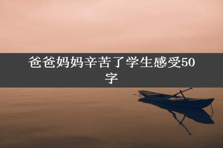 爸爸妈妈辛苦了学生感受50字