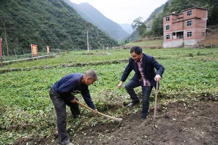 农民伯伯在田里还要做哪些农活