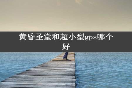 黄昏圣堂和超小型gps哪个好