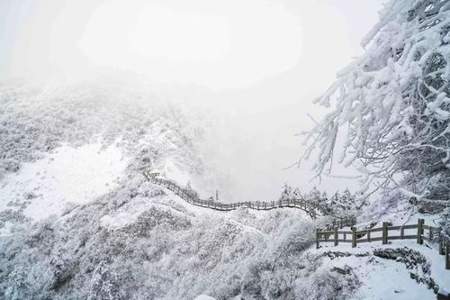 窗含西岭千秋雪写的是不是冬天的景观
