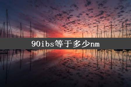 90ibs等于多少nm