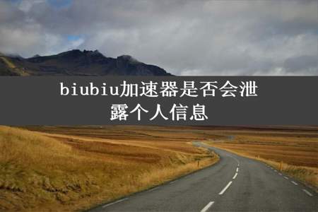 biubiu加速器是否会泄露个人信息