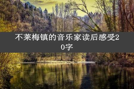 不莱梅镇的音乐家读后感受20字