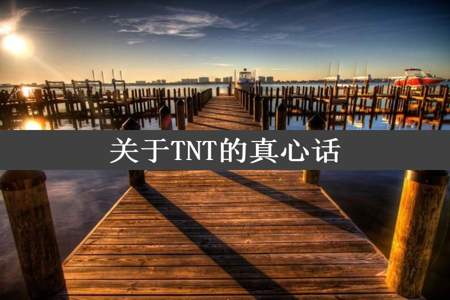 关于TNT的真心话