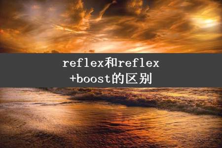 reflex和reflex+boost的区别