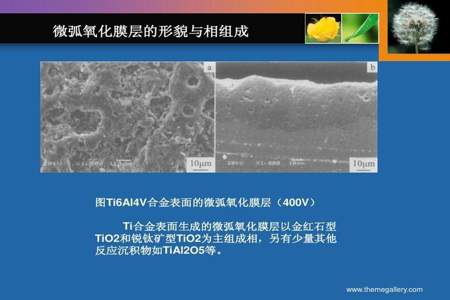 缓慢氧化的事例,并分析利弊