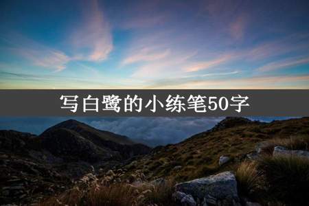 写白鹭的小练笔50字