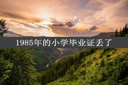 1985年的小学毕业证丢了