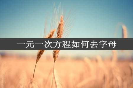 一元一次方程如何去字母