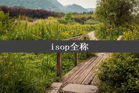 isop全称