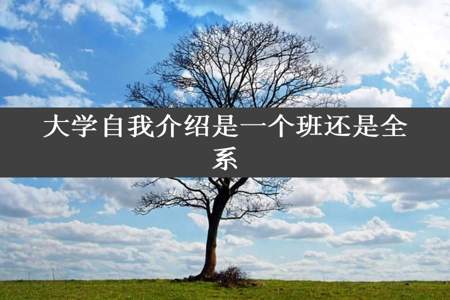 大学自我介绍是一个班还是全系