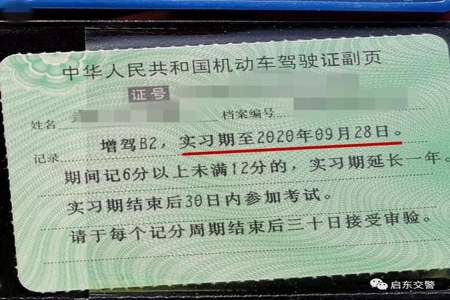 b2驾驶证实习期可以开车吗