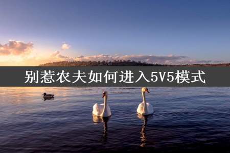 别惹农夫如何进入5V5模式