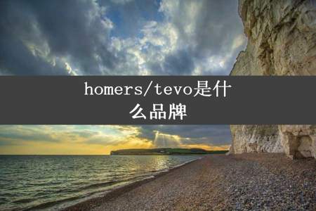 homers/tevo是什么品牌