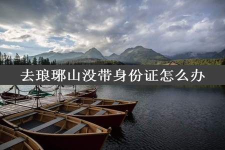 去琅琊山没带身份证怎么办