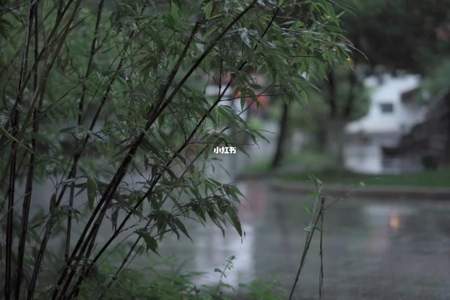 风来听风 雨来听雨 怎么发朋友圈