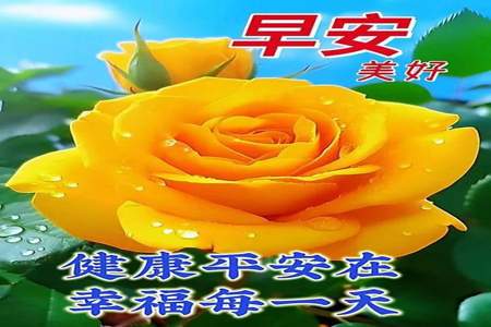 8月1号怎么祝福朋友