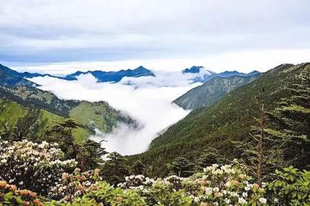 芦山县大川镇到新津区怎么走，走那条路更安全快捷