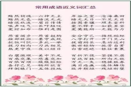 什么叫量词，比例