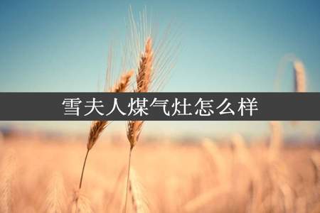 雪夫人煤气灶怎么样