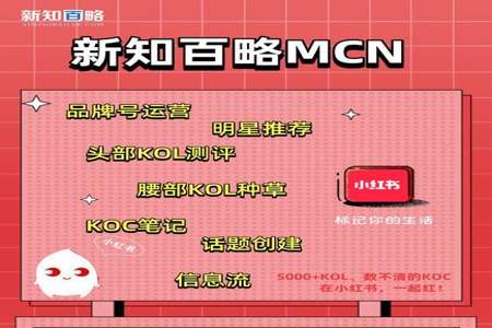 怎么查看自己账号所属mcn