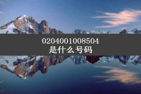 0204001008504是什么号码